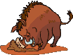 pig_267202454_std.gif
