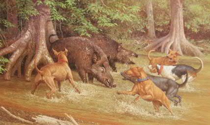 print-southern-hog-hunt-2.jpg